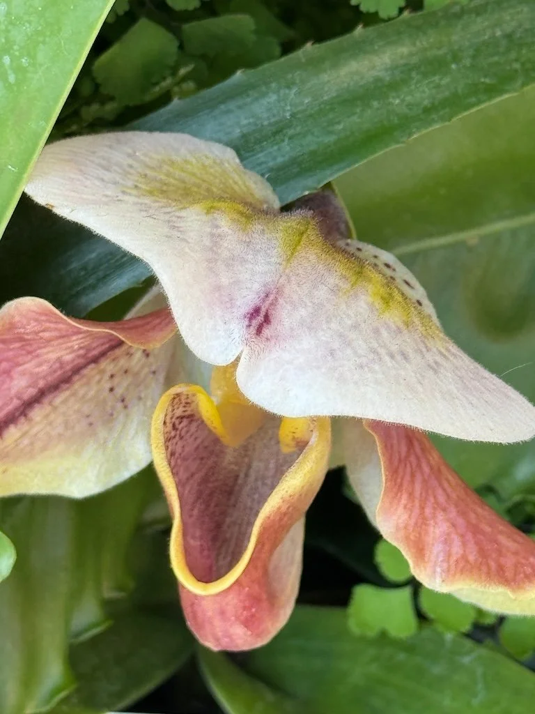 IMG_2030 2026 03.jpeg