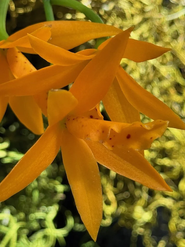 IMG_2048 2026 03.jpeg