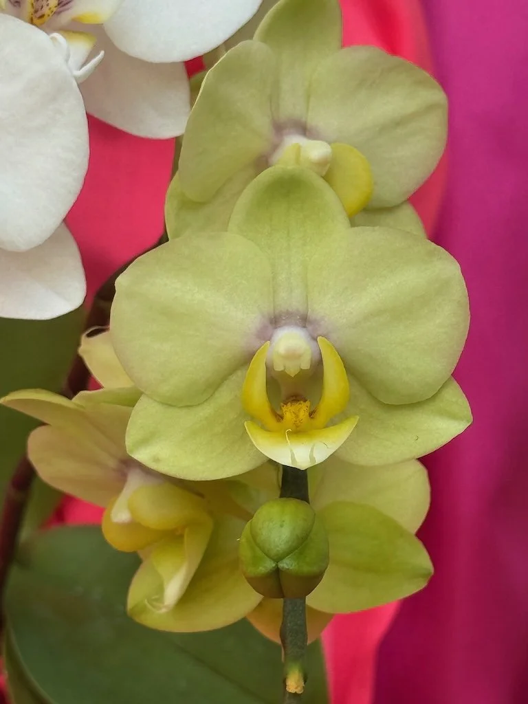 IMG_2058 2026 03.jpeg