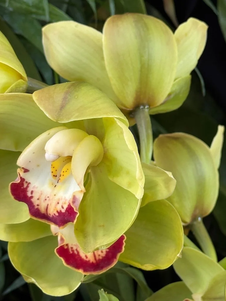 IMG_2061 2026 03.jpeg