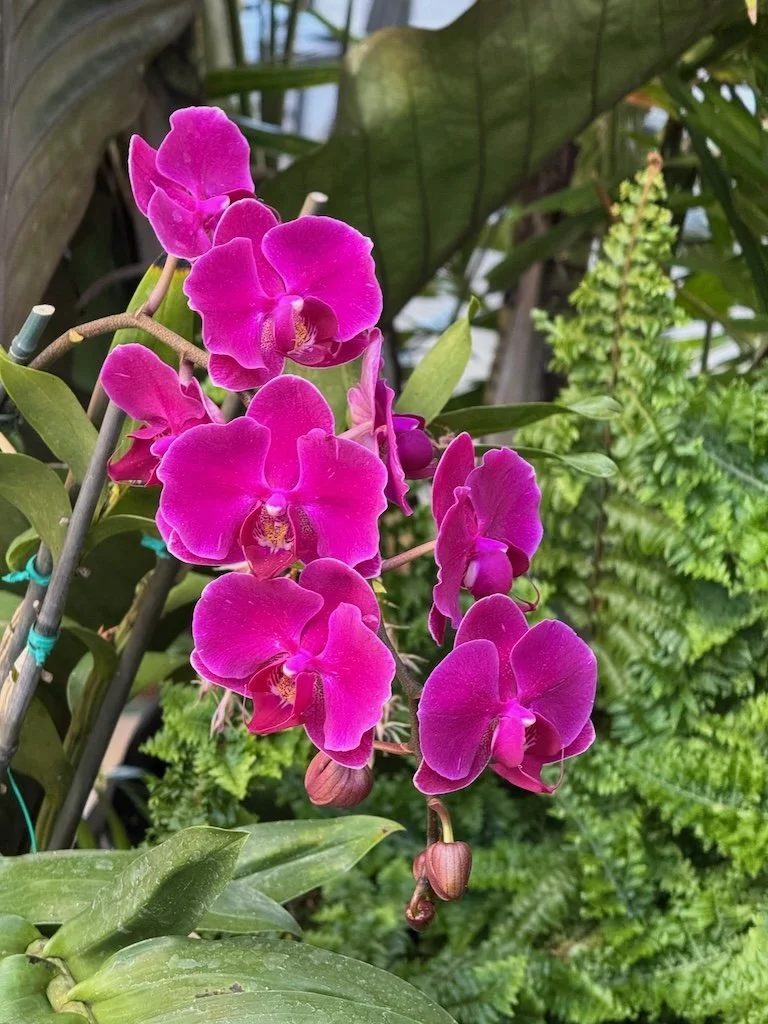 IMG_2070 2026 03.jpeg