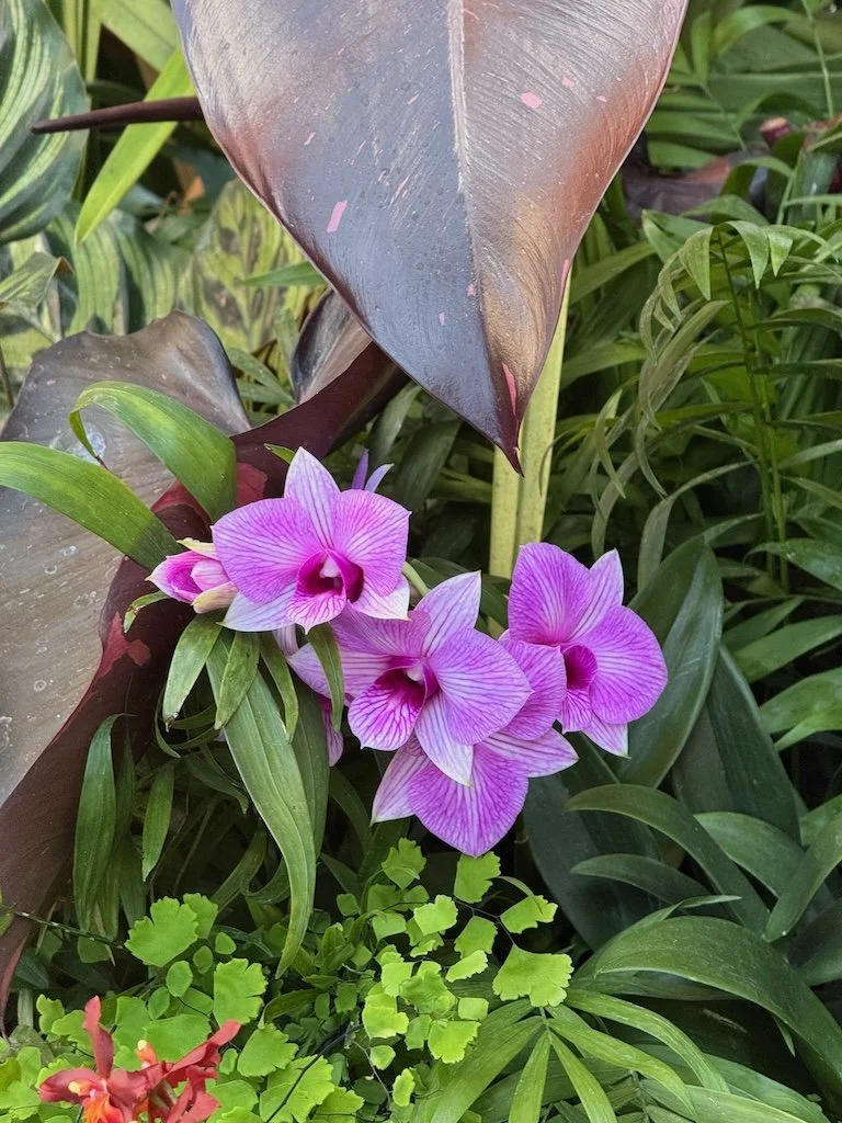 IMG_2072 2026 03.jpeg