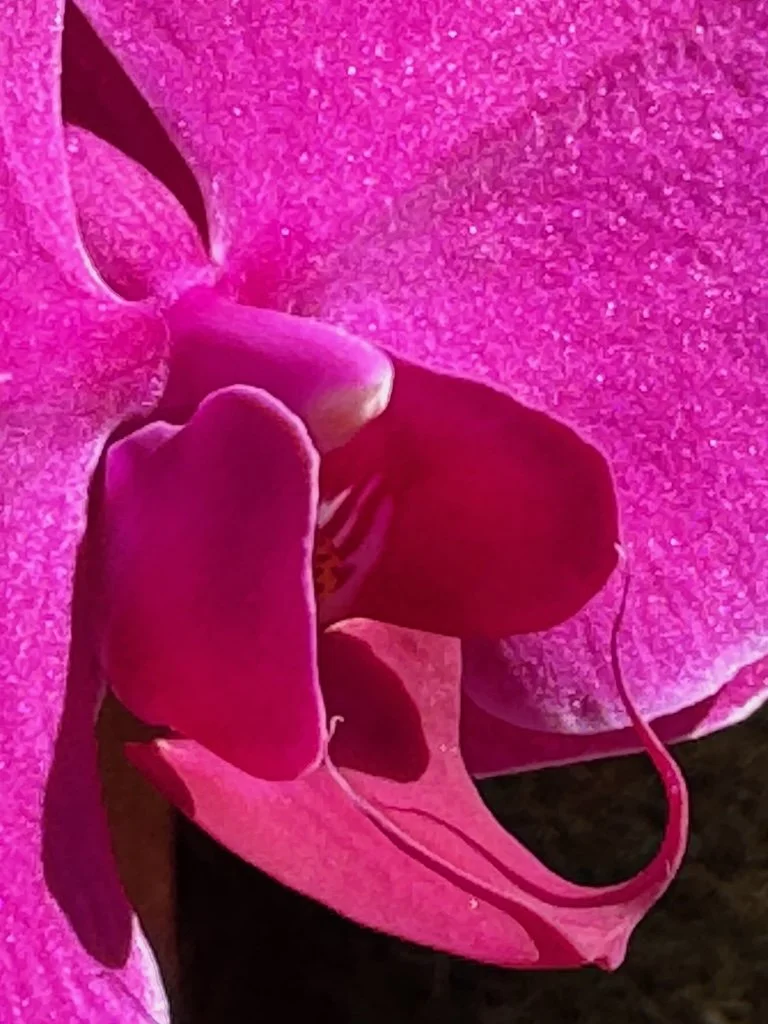 IMG_2087 2026 03.jpeg