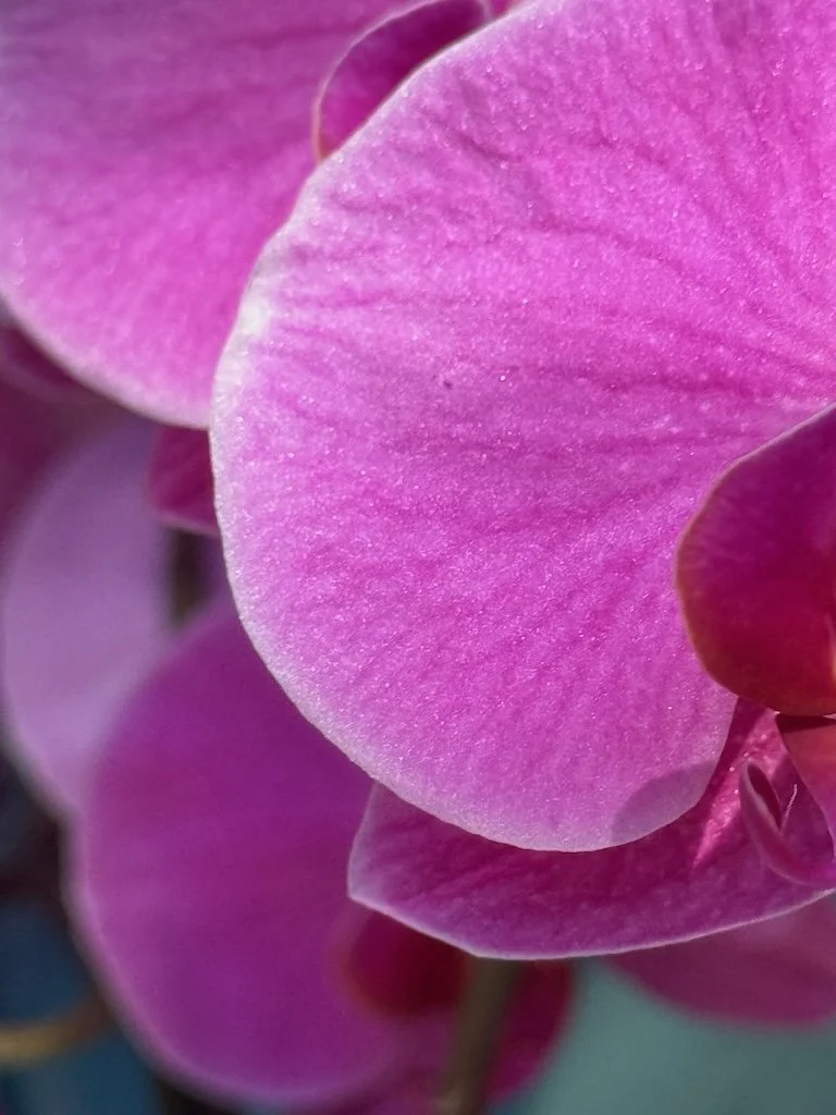 IMG_2114 2026 03.jpeg