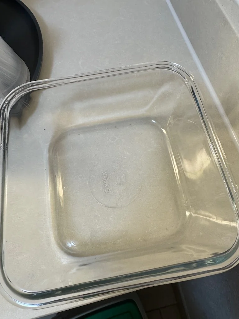 IMG_2337 2026 04.jpeg