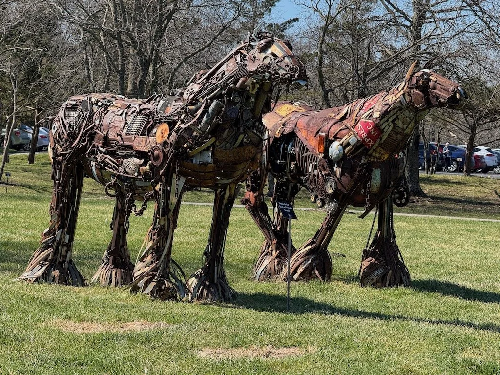 IMG_1996 2026 03.jpeg