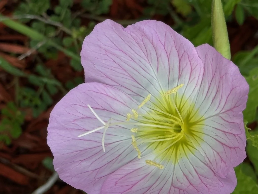 IMG_2302 2026 04.jpeg