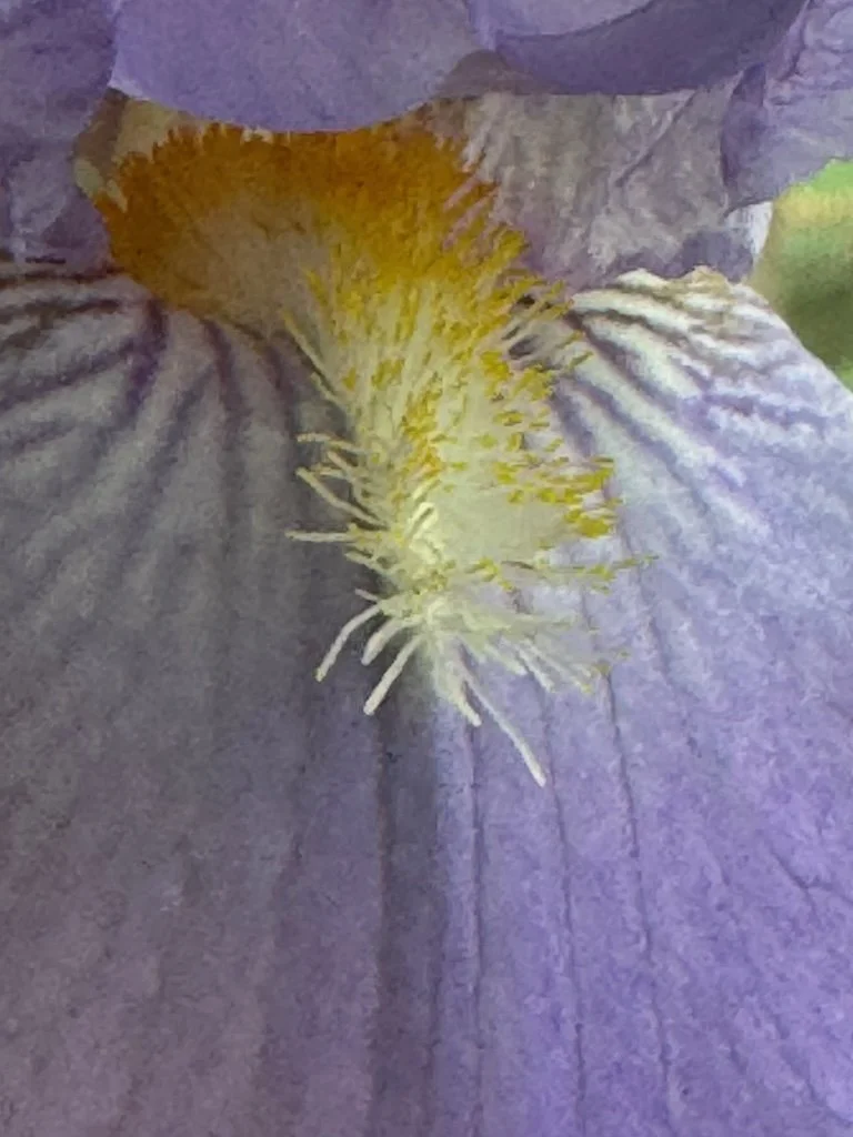 IMG_2511 2026 04.jpeg