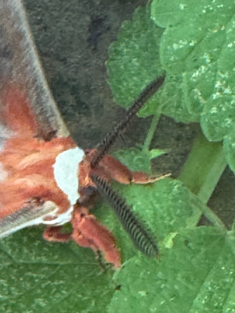 IMG_4839 2026 07.jpeg