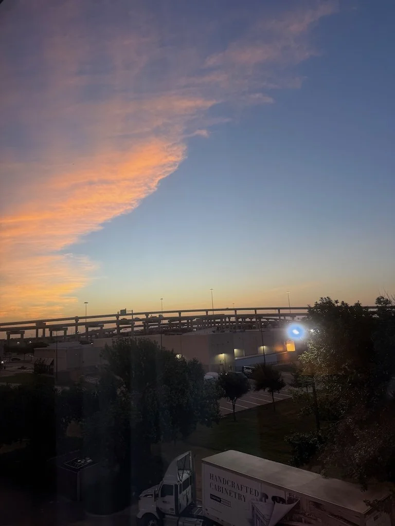IMG_5581 2026 08.jpeg