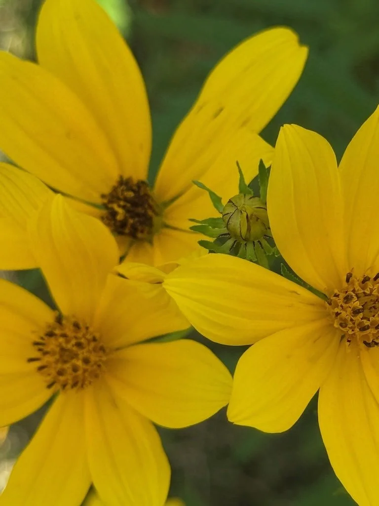 IMG_5880 2026 09.jpeg