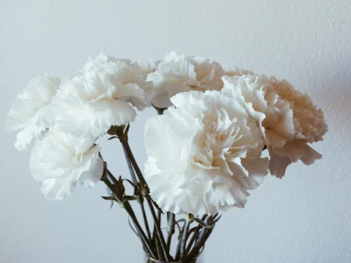 Mother's Day at Market Blooms