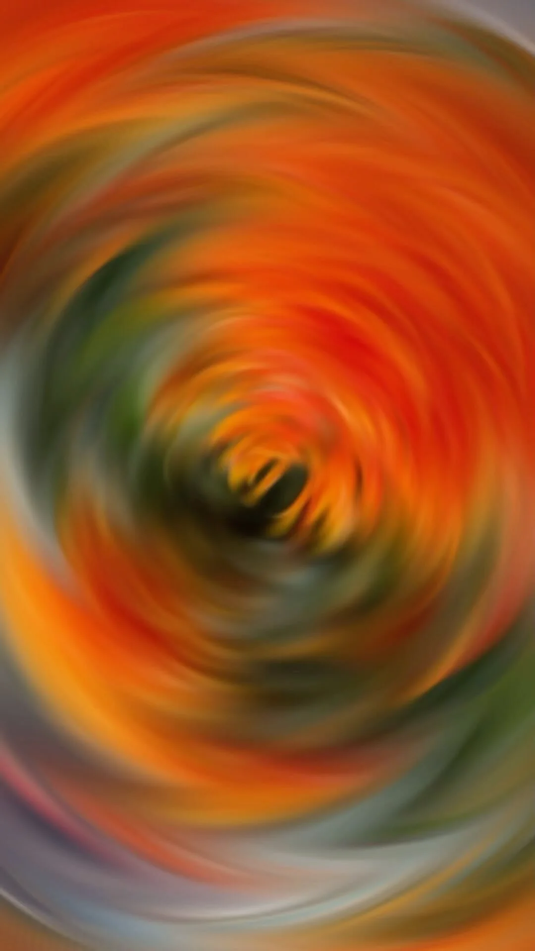 Send Flowers in Columbus, OH Market Blooms — Market Blooms