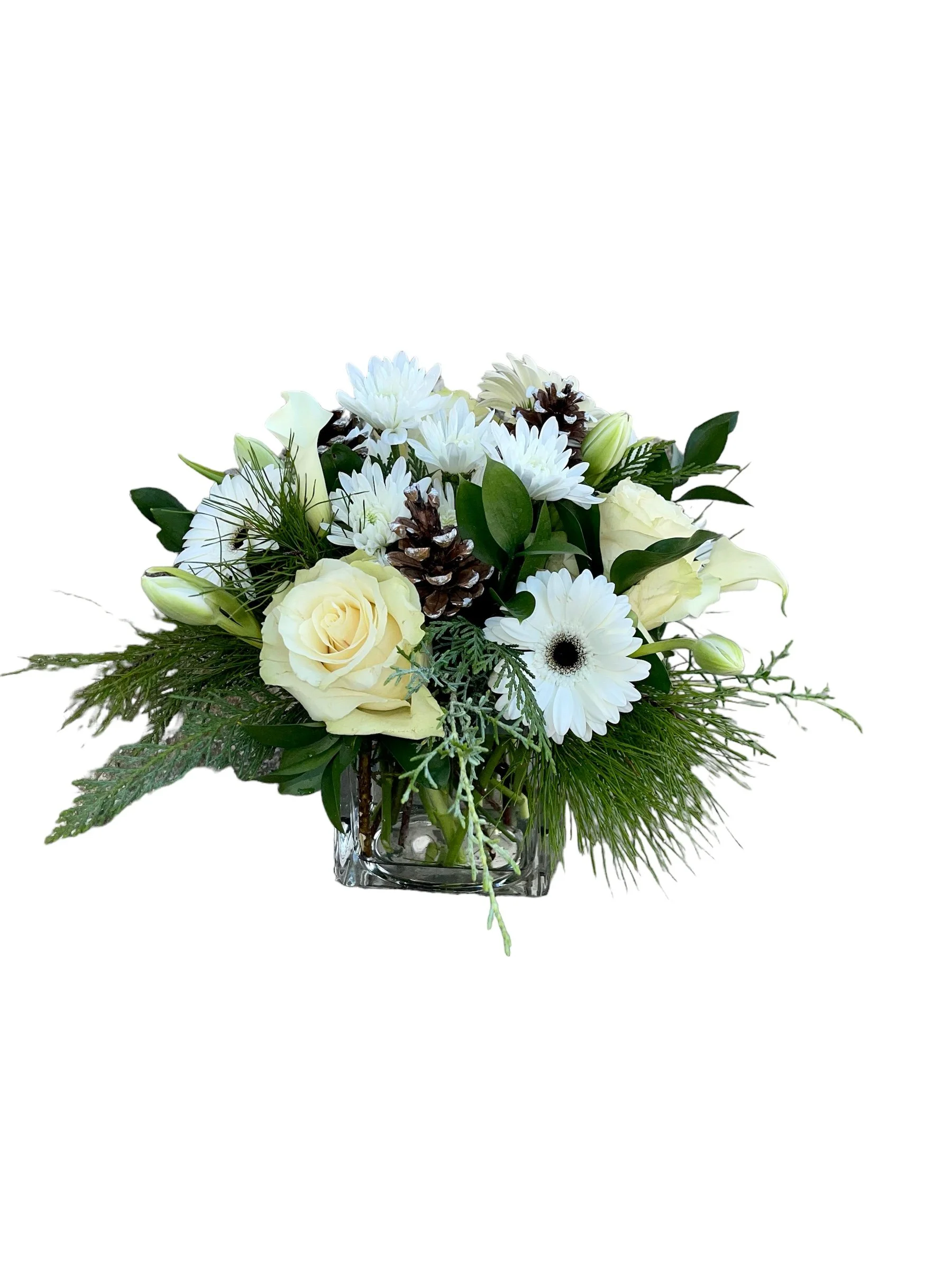 PhotoRoom_20231110_125723.JPG