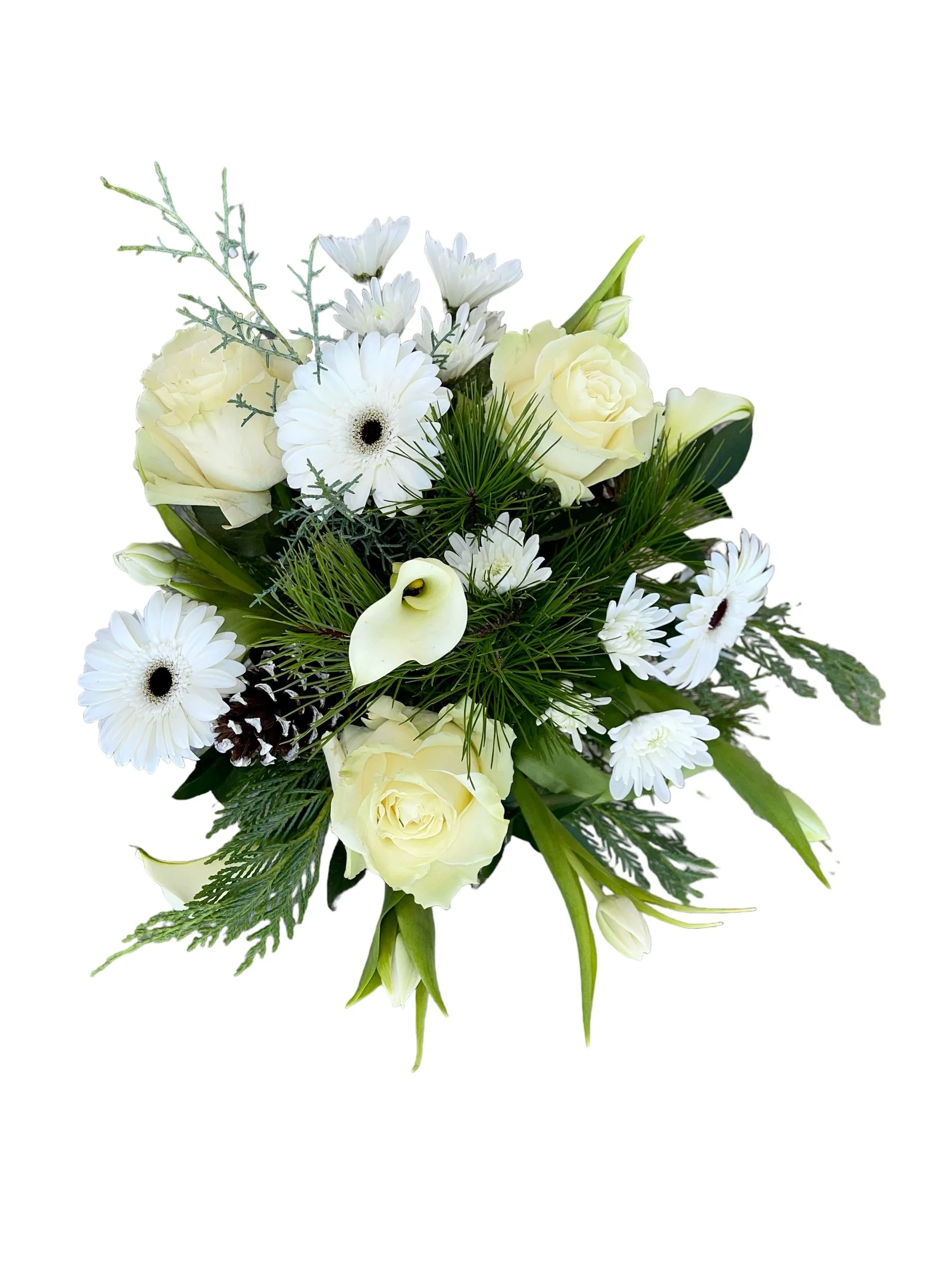PhotoRoom_20231110_125748.JPG