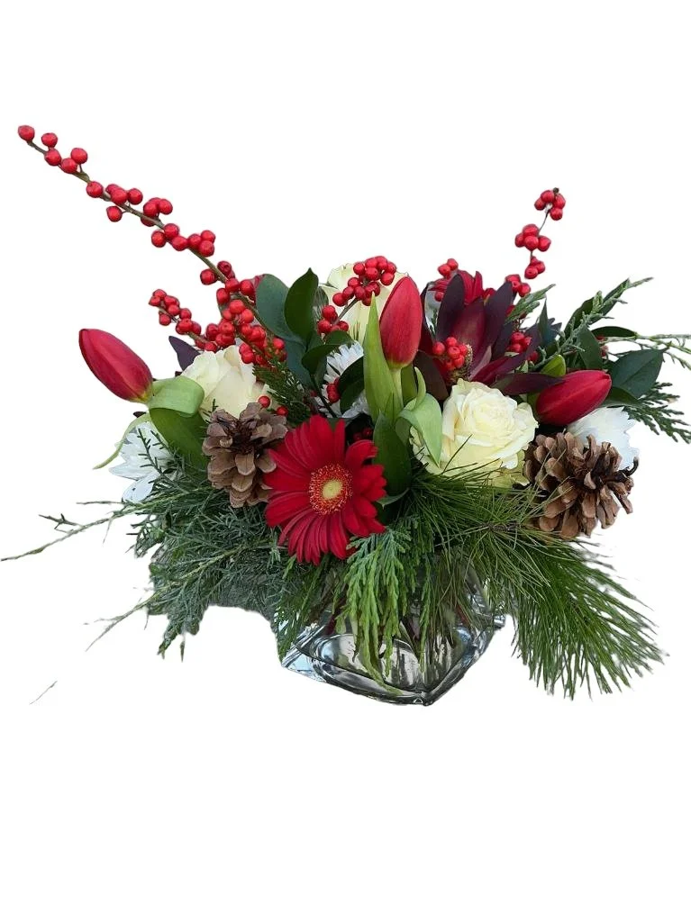 PhotoRoom_20231110_133242.JPG