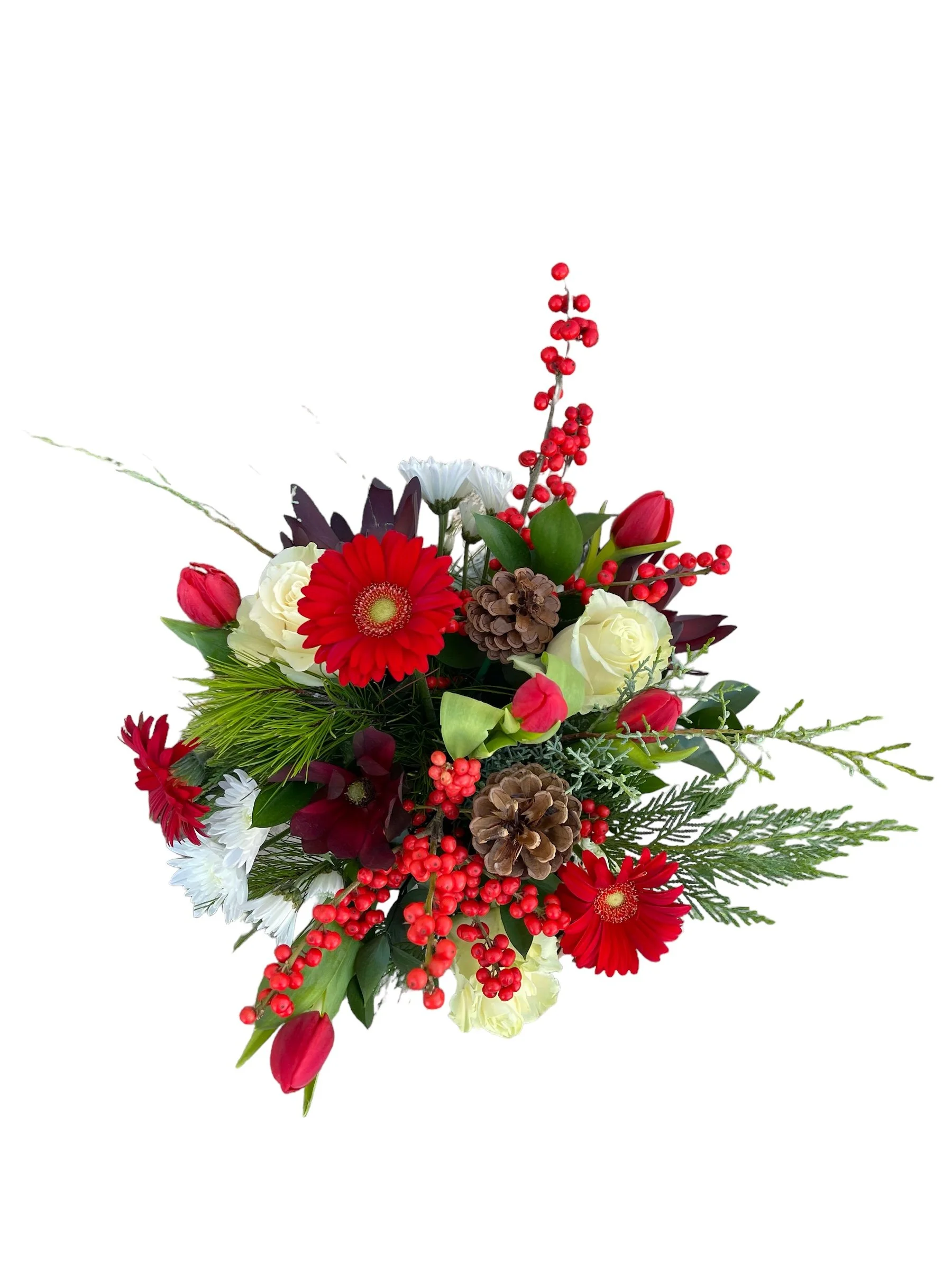 PhotoRoom_20231110_130452.JPG