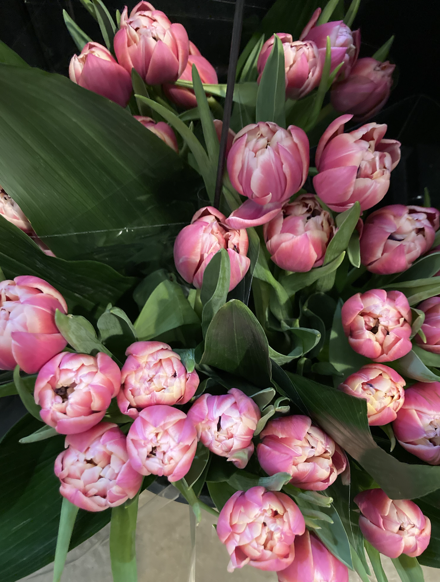 market-blooms-north-market-columbus-bloom-bar1.png