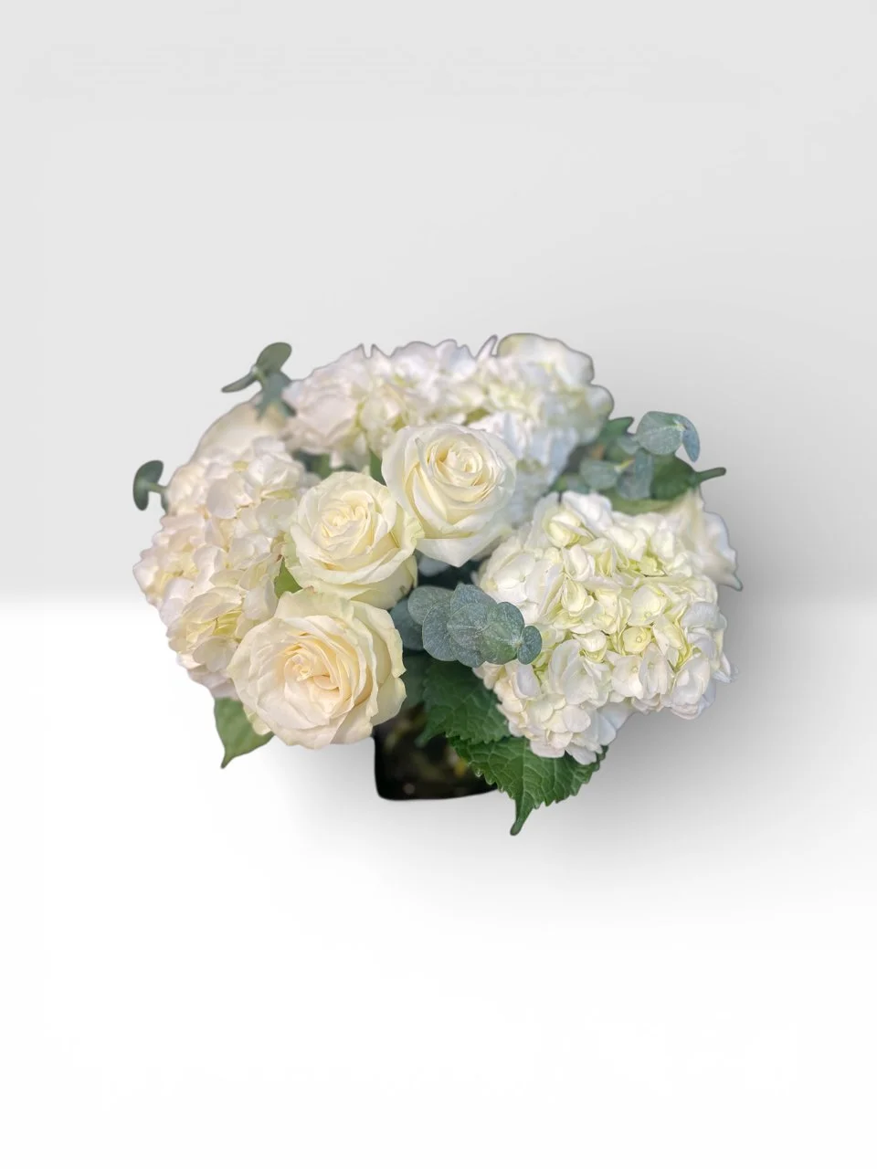 Photoroom_20260219_134405 new.jpg