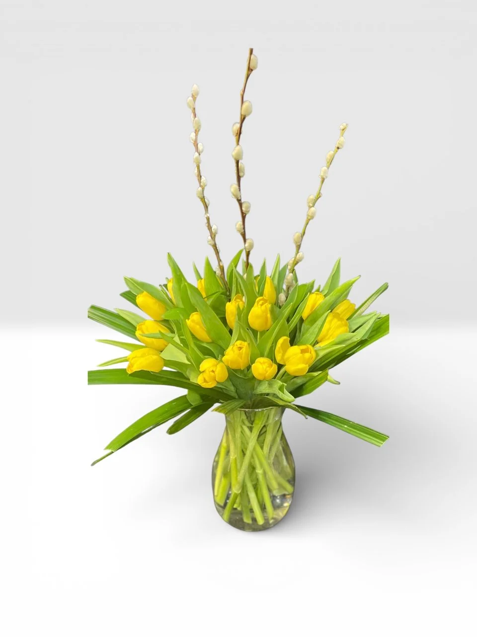 Photoroom_20260219_152646 LLLL.jpg