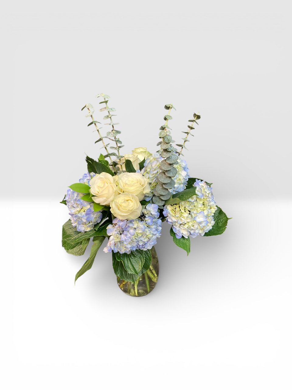 Photoroom_20260219_135141 new.jpg