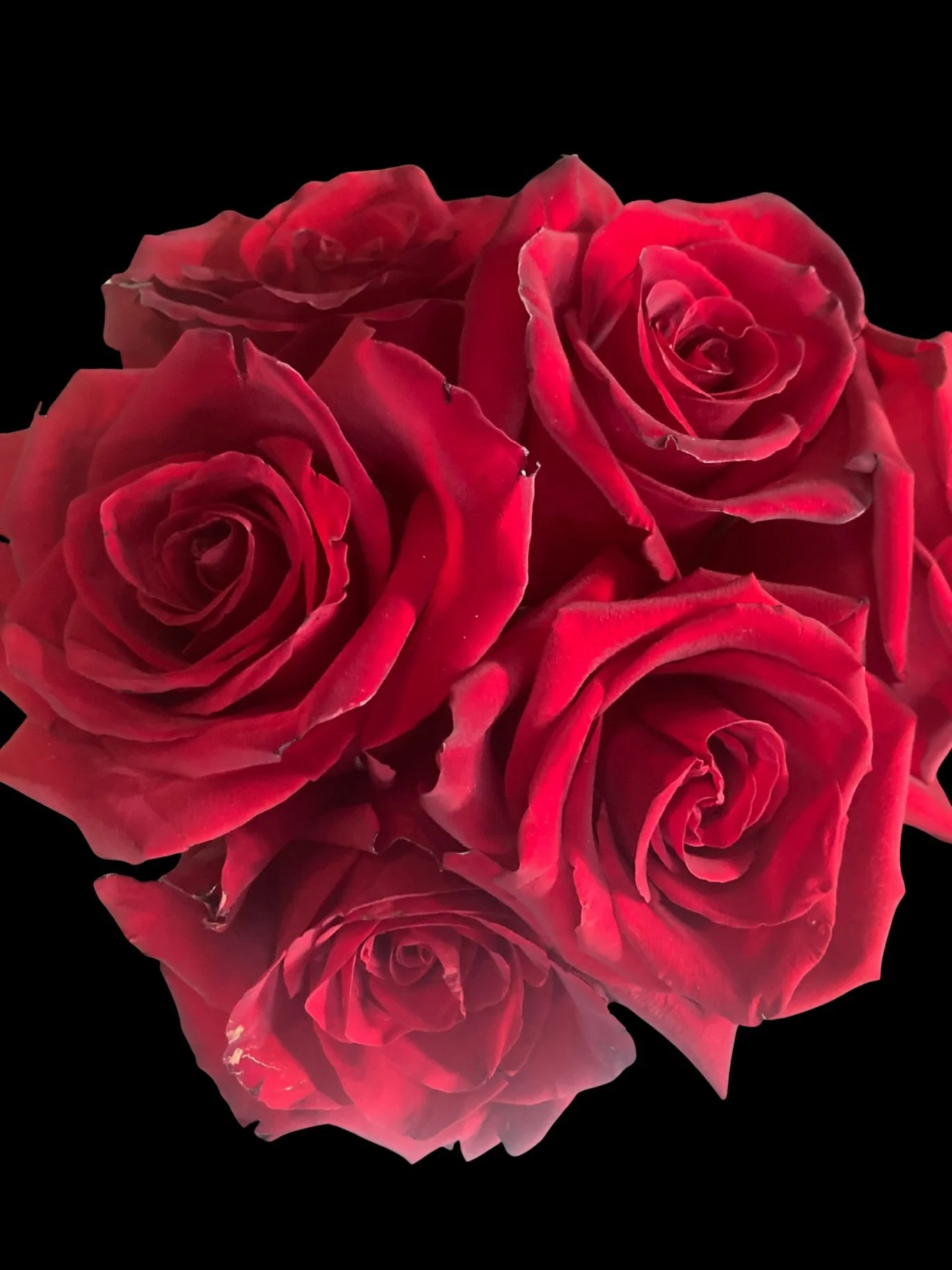 1_15_2026, 12_25_47 PM - Edited.jpg