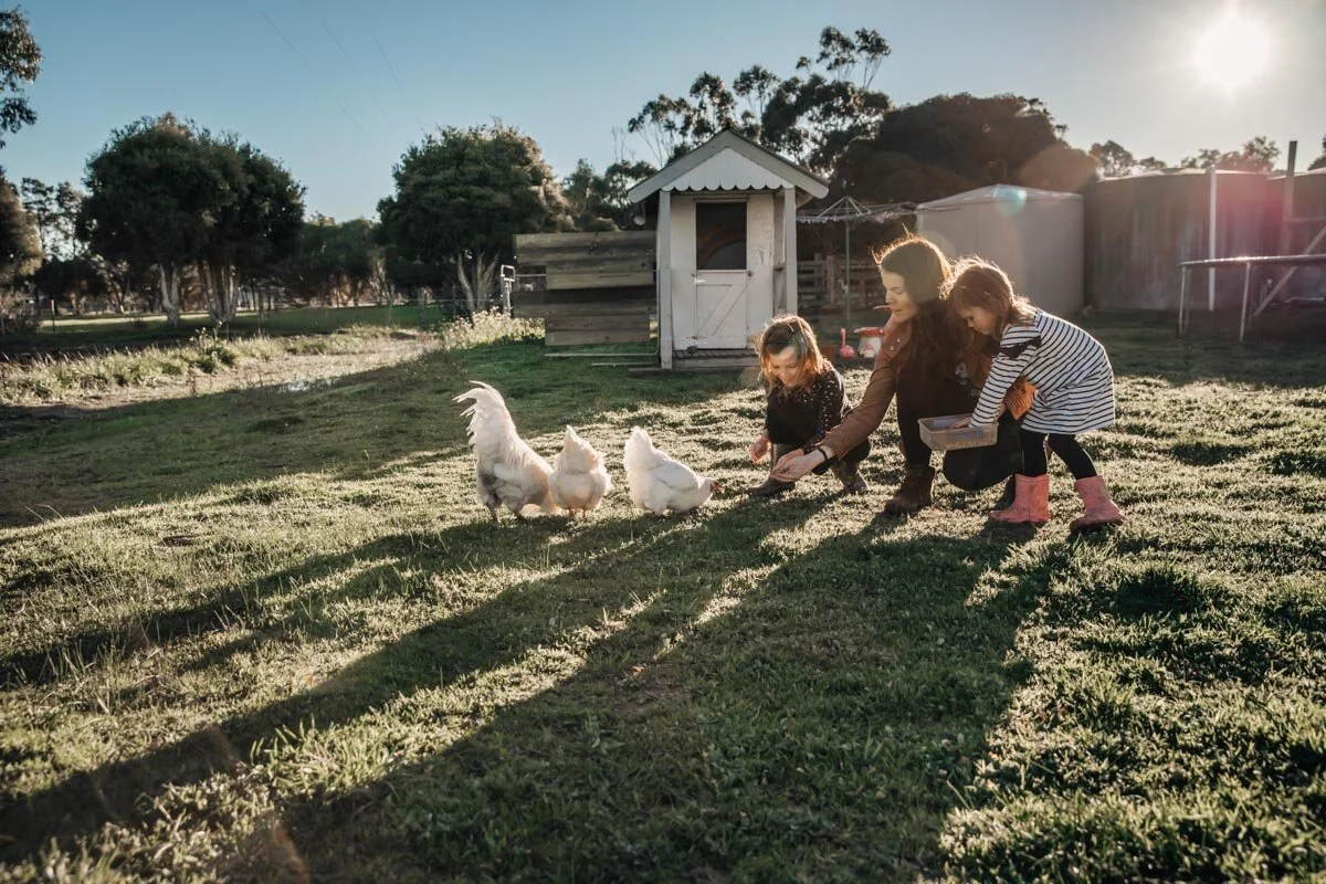Mum and daughters feeing chickens in the afternoon light Lauren McAdam Photography Geelong torquay newtown armstrong creek moriac family photographer-16.jpg