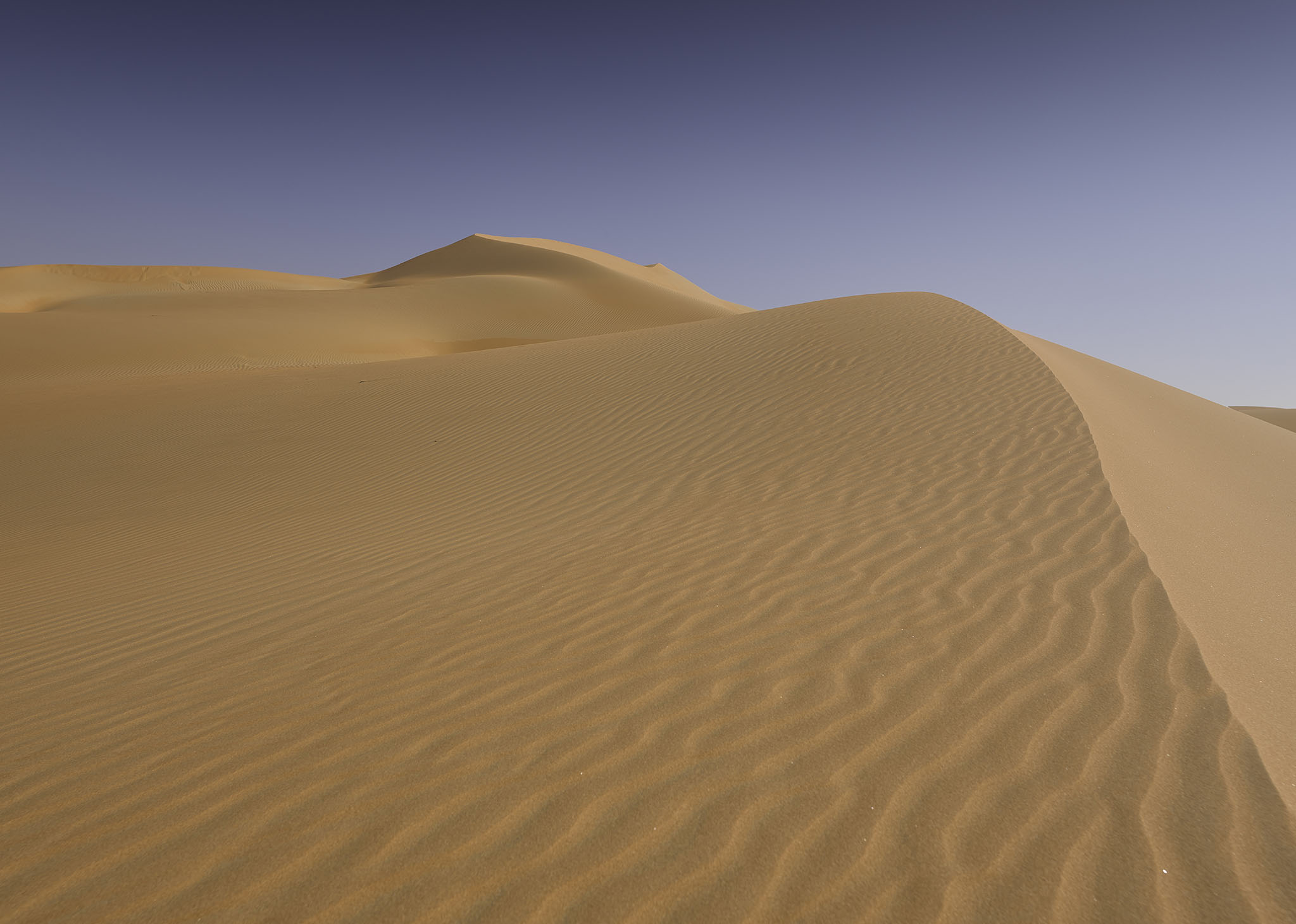 CF035302_Liwa_Desert_Emmirates_Architecture_Frank_Jagow_Photography_Munich_Germany.jpg