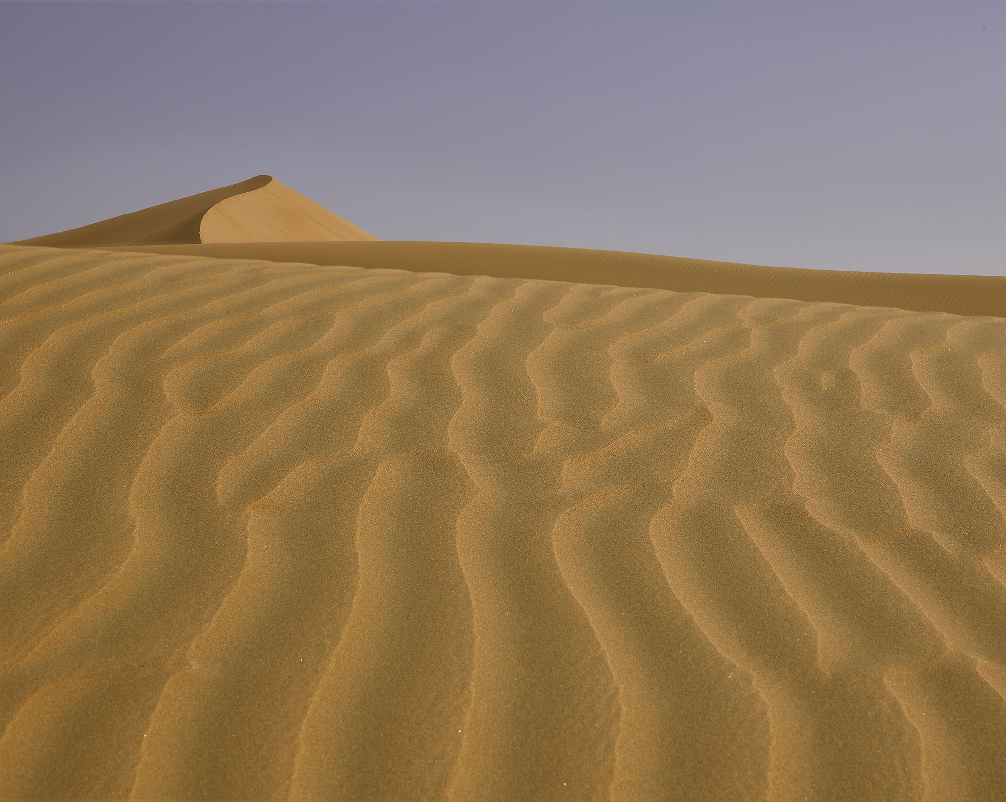 Focus_Stack_1_Liwa_Desert_Emmirates_Architecture_Frank_Jagow_Photography_Munich_Germany.jpg