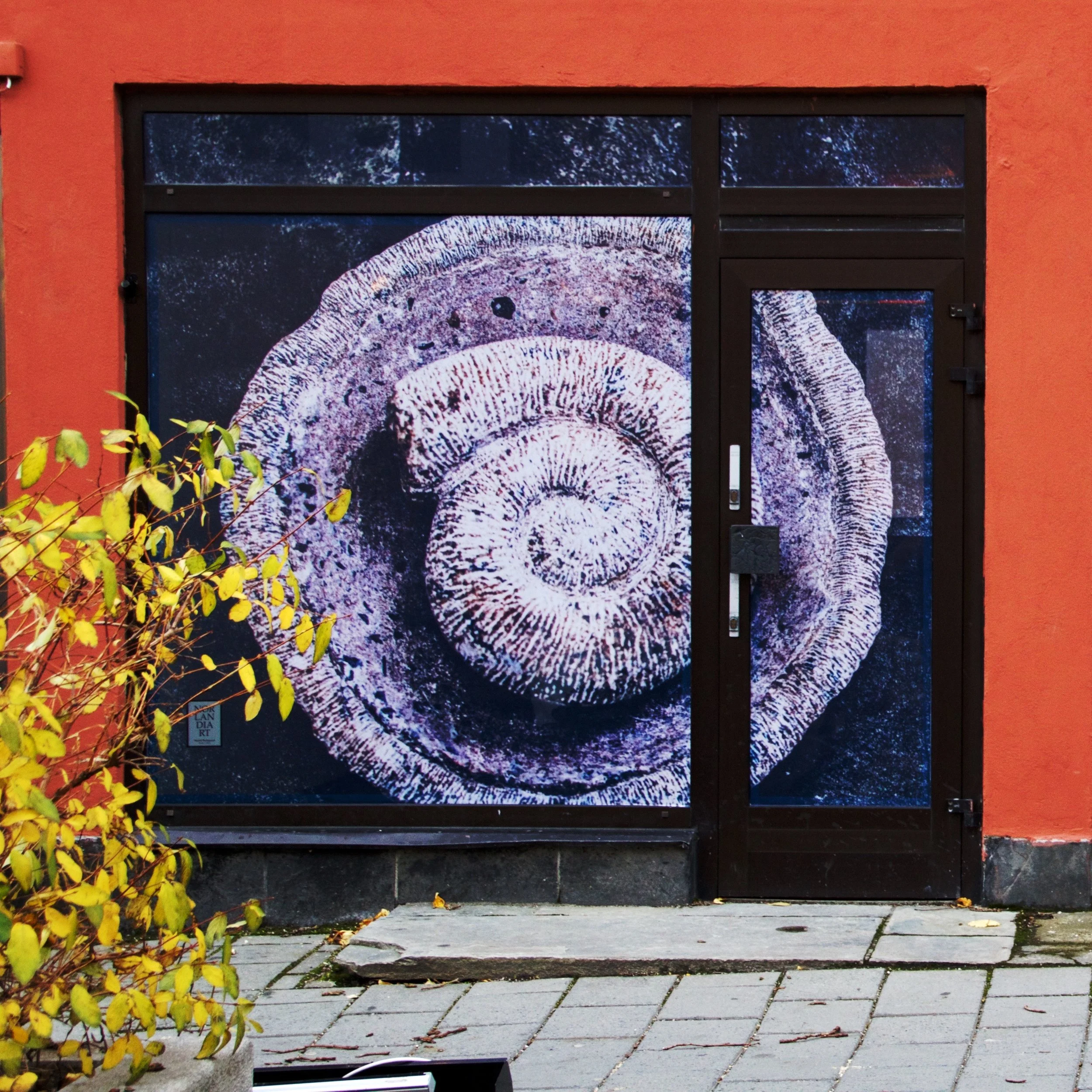 Dama Di, Storgata