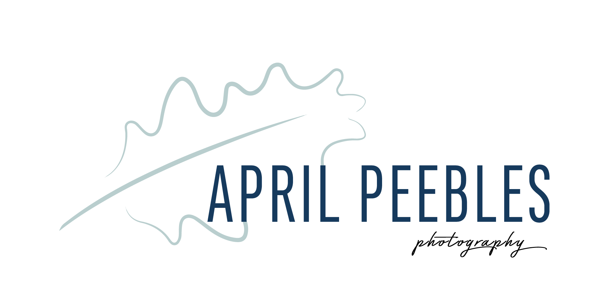 logo.png
