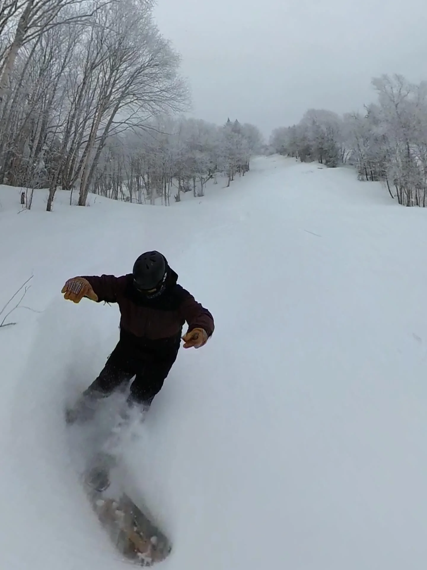 May your Holidays be filled with DEEP Pow! Enjoy 💚
&bull;
#woodcarver 
#happyholidays 
#merrychristmas 
#happyhanukkah 
#happynewyear