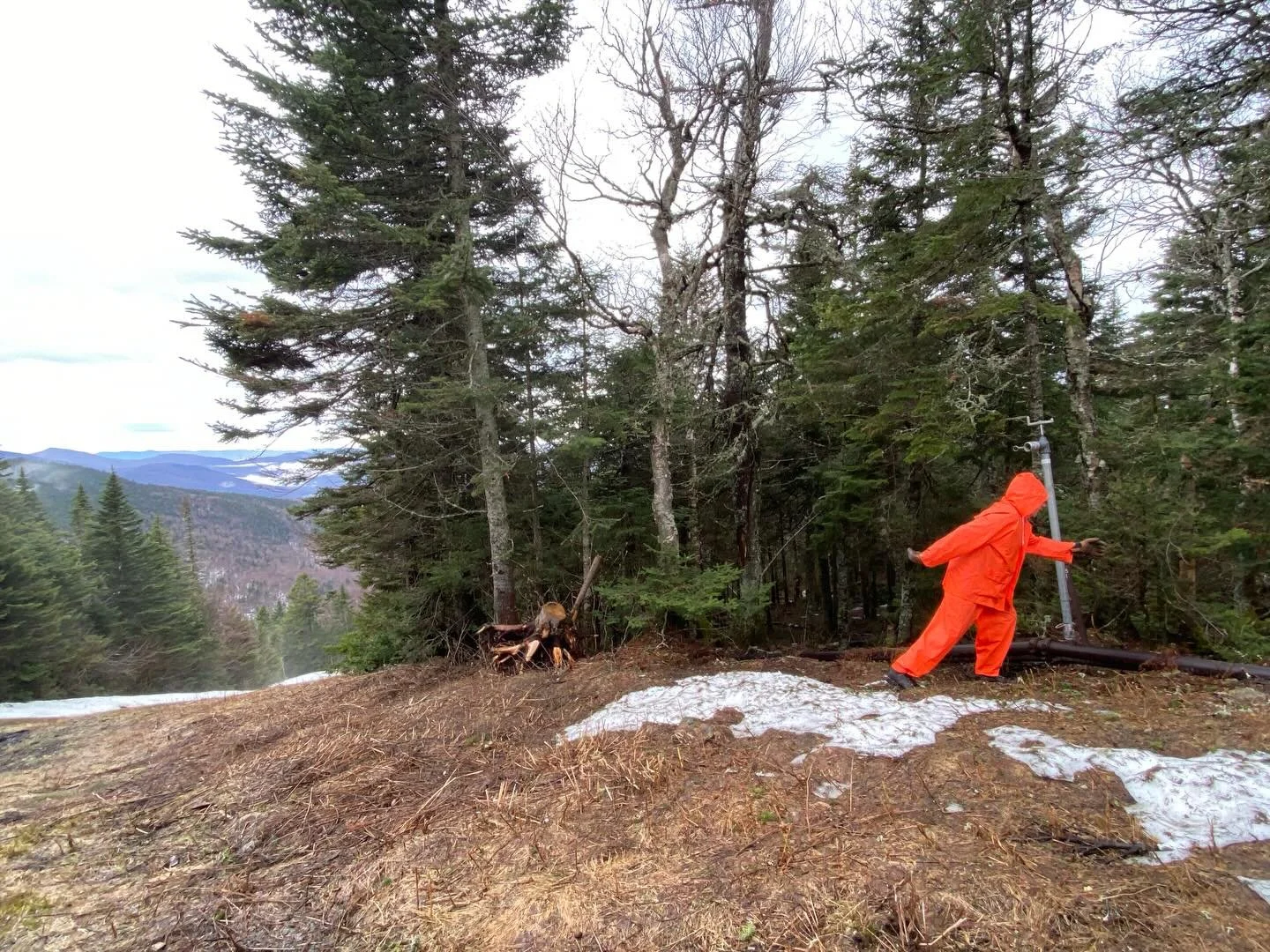 A mysterious Orange Yeti spotted in the wild yesterday. Perfect habitat conditions for this elusive creature.
&bull;
@boltonvalley 
@boltonskipatrol 
&bull;
#woodcarver 
#snowboarding 
#alwaysgo
#livetoride