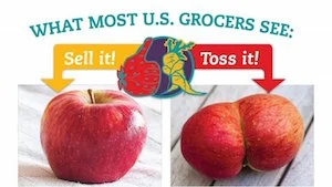 ChangeOrg_EndFoodWaste.jpg