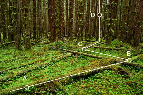 hoh_z_curve_sample.jpg
