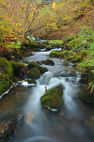 Scaleber Beck, following the river down the valley