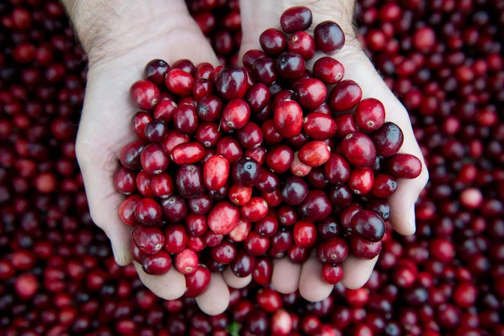 Cork and Fork: Cranberries