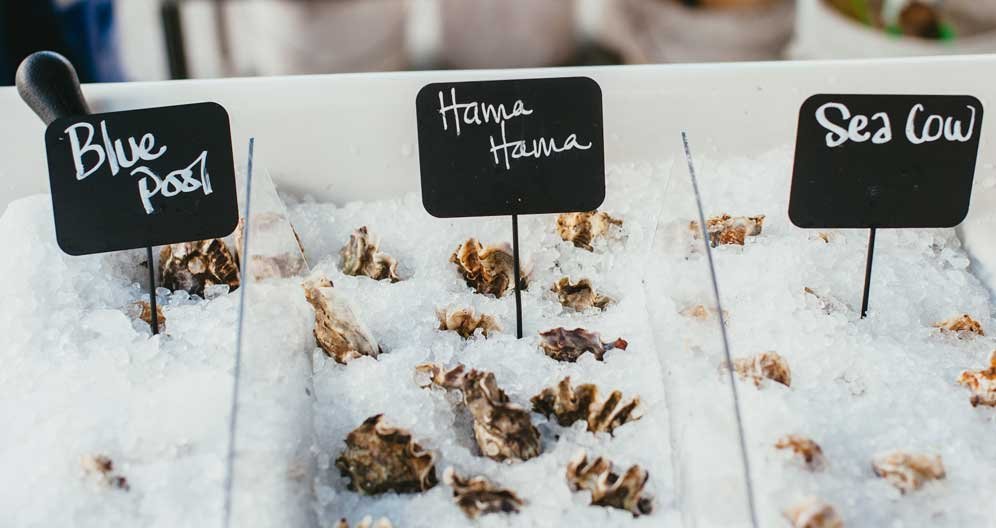 oysters-on-ice.jpg