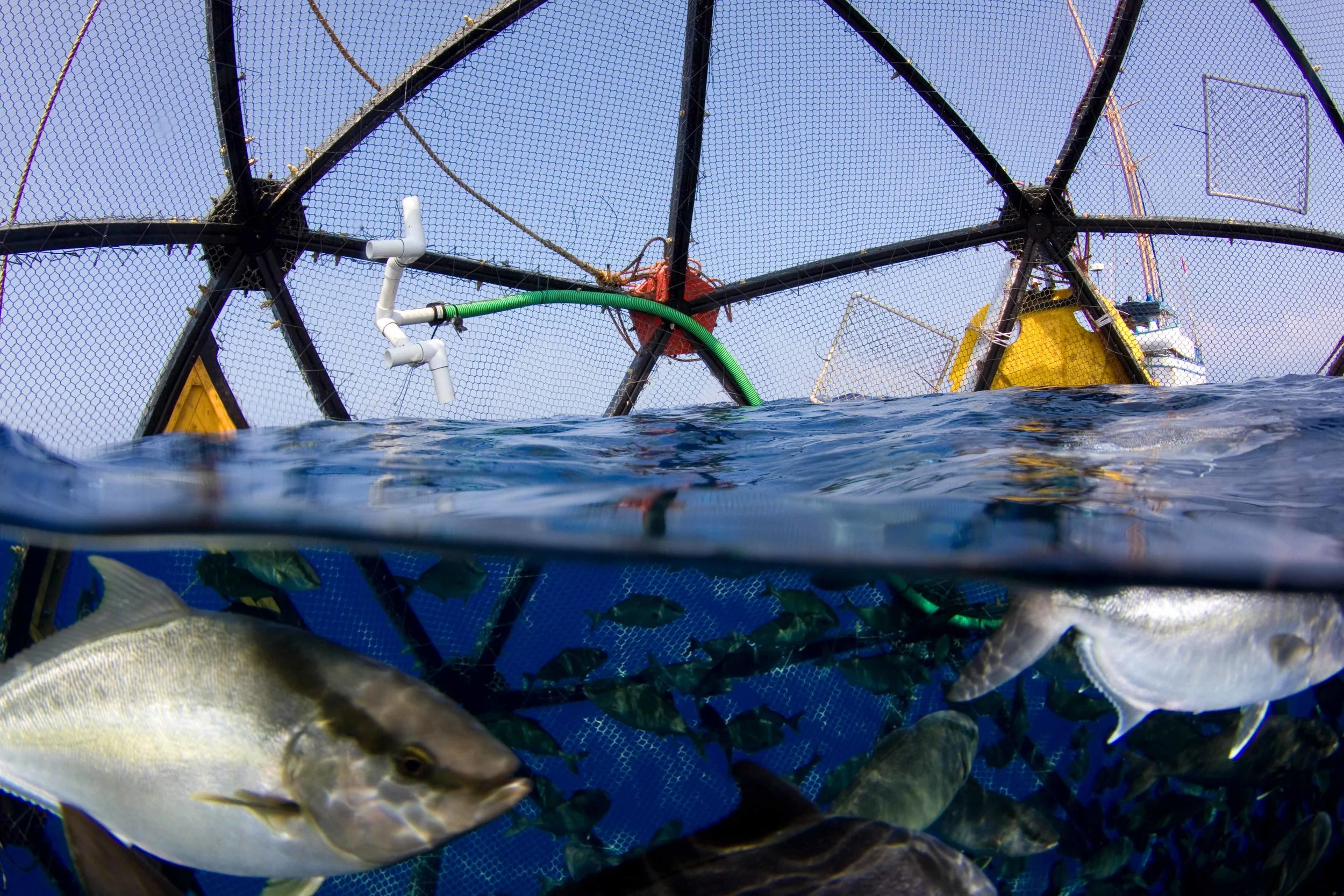 Drifter Cages off the coast