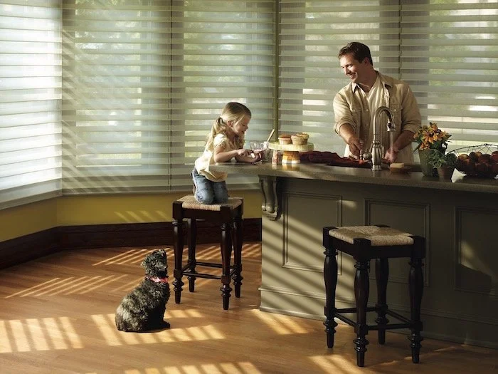 Silhouette® Window Shadings