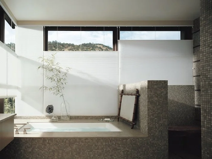 Duette® Honeycomb Shades