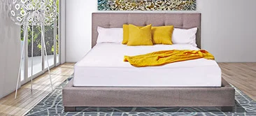 Modena_decor.jpg