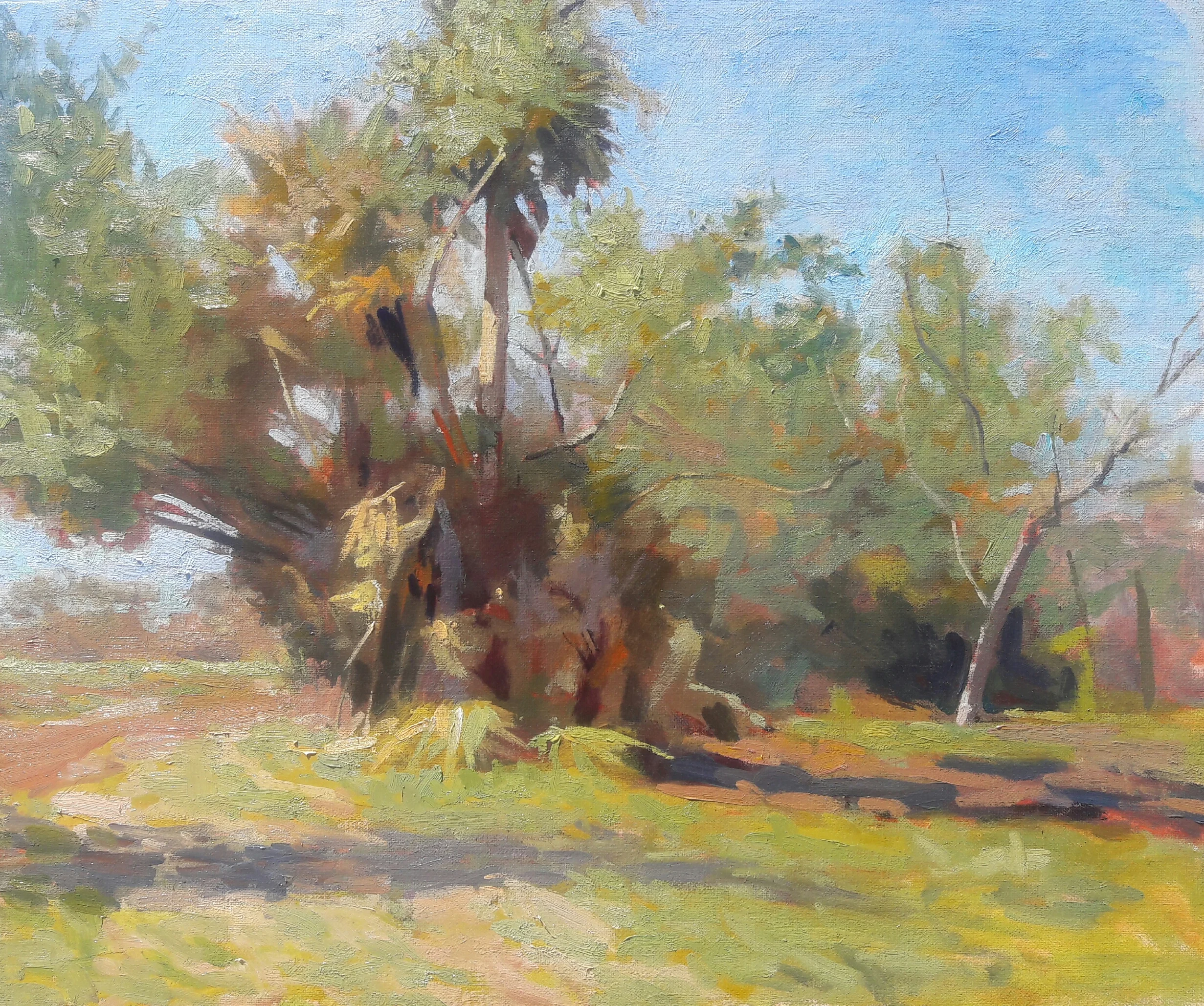 Marsh Trees