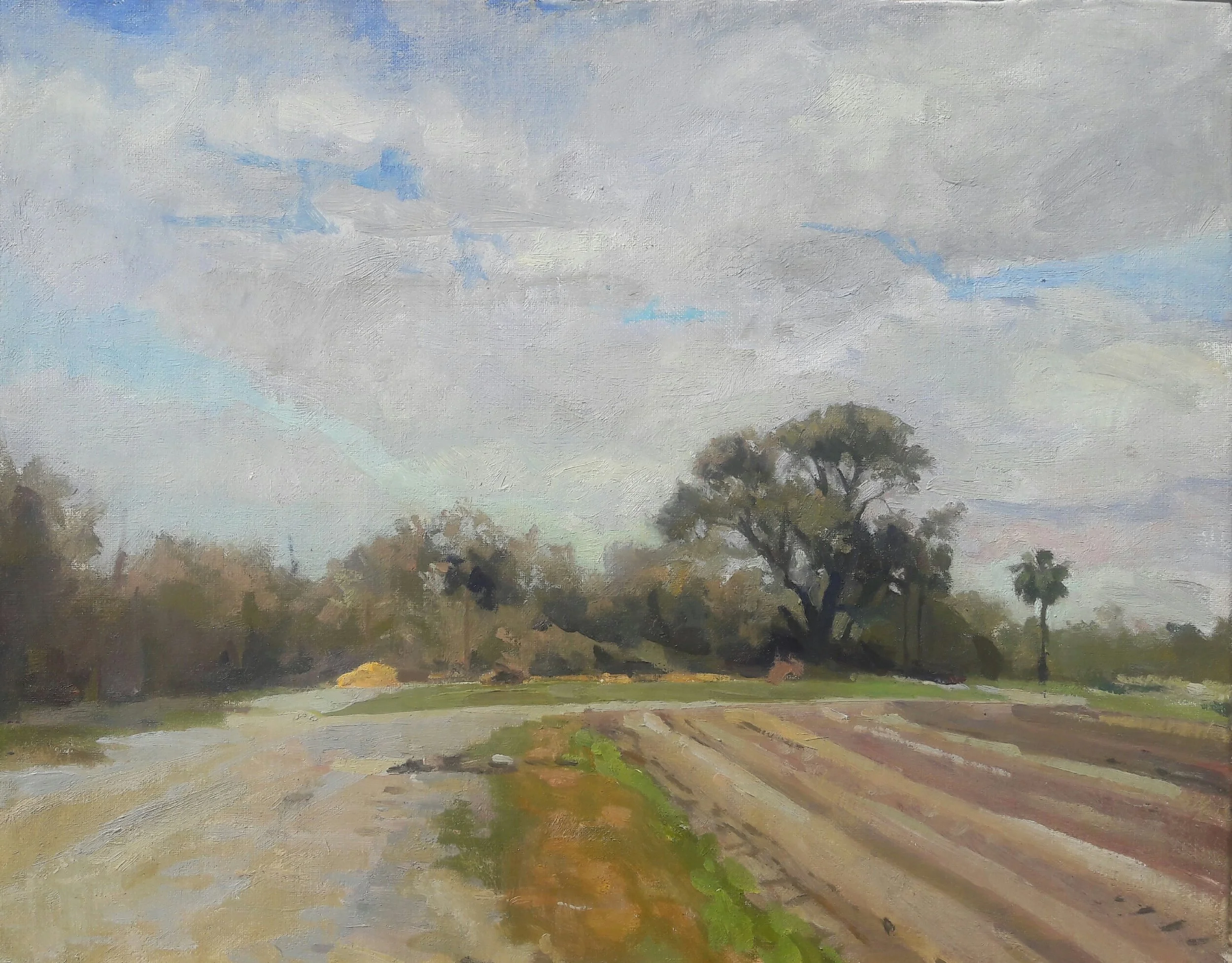Water Parched Field