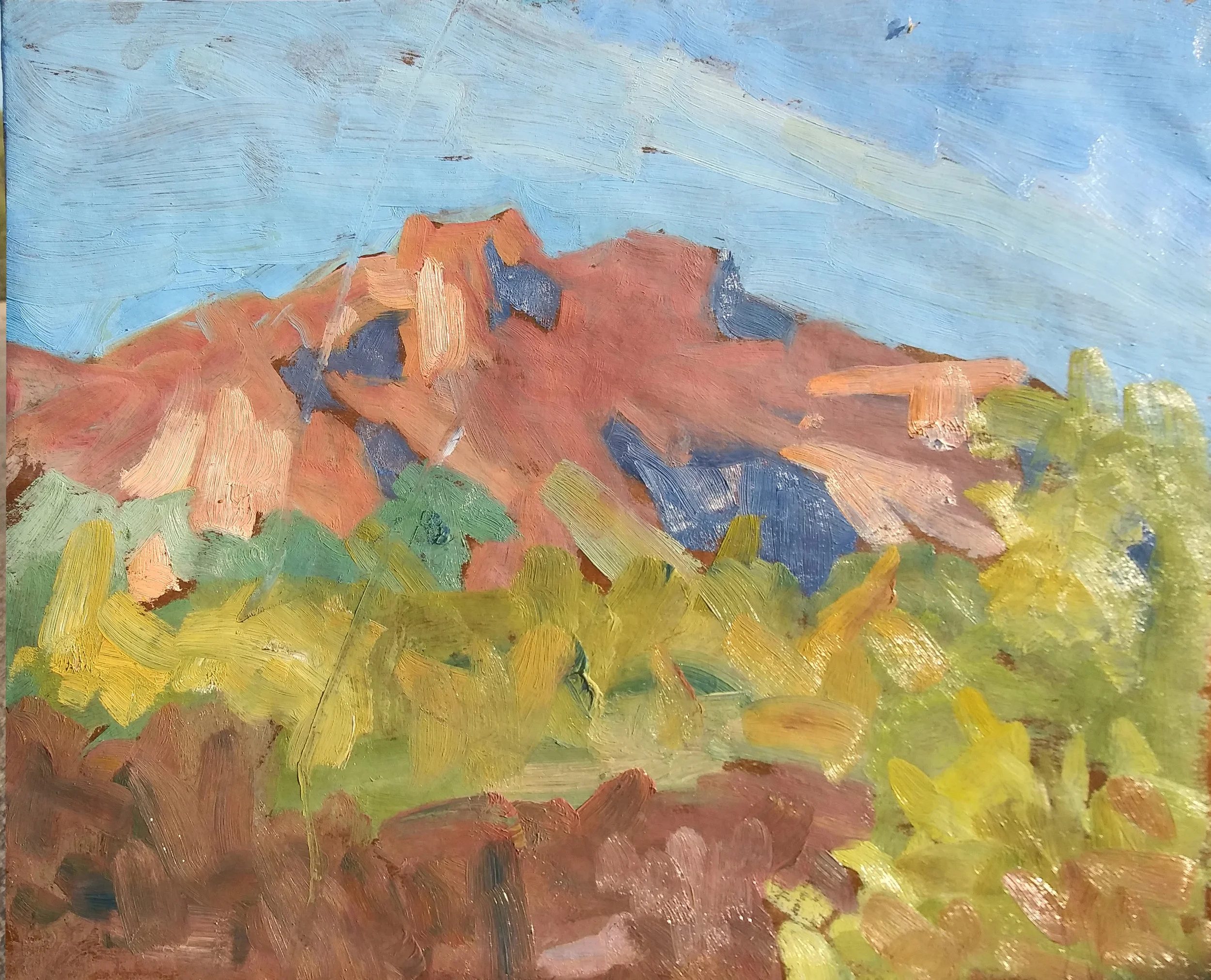 Day six. Superstition mountain again.