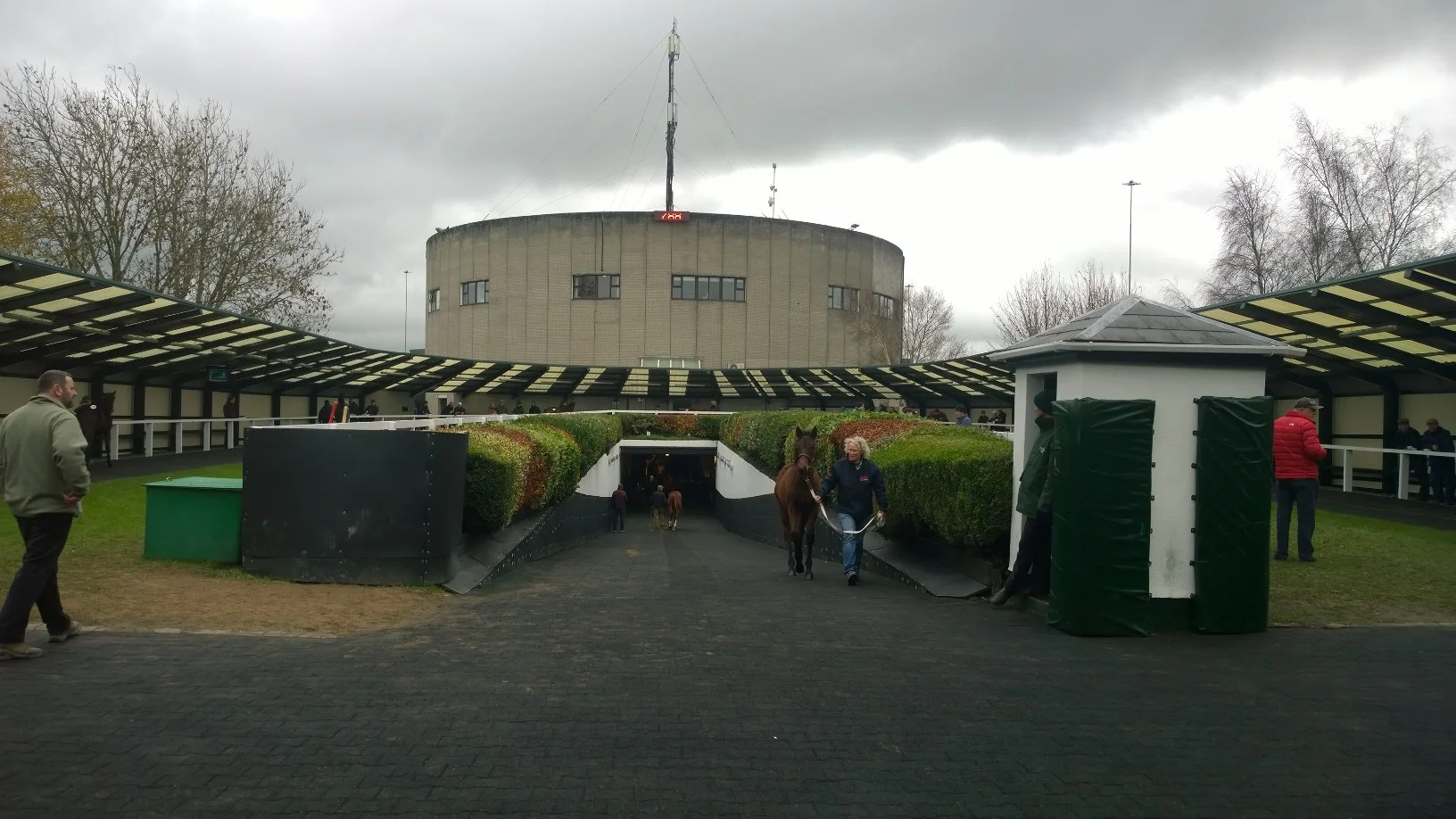 Right: The pre parade ring at Goffs where all the last minute decisions are made.