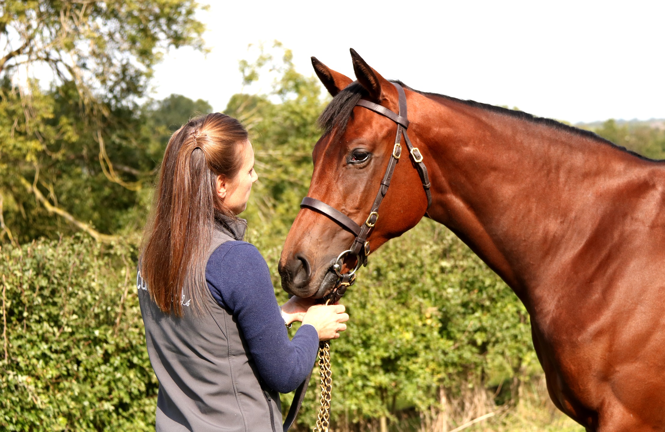 Bloodstock