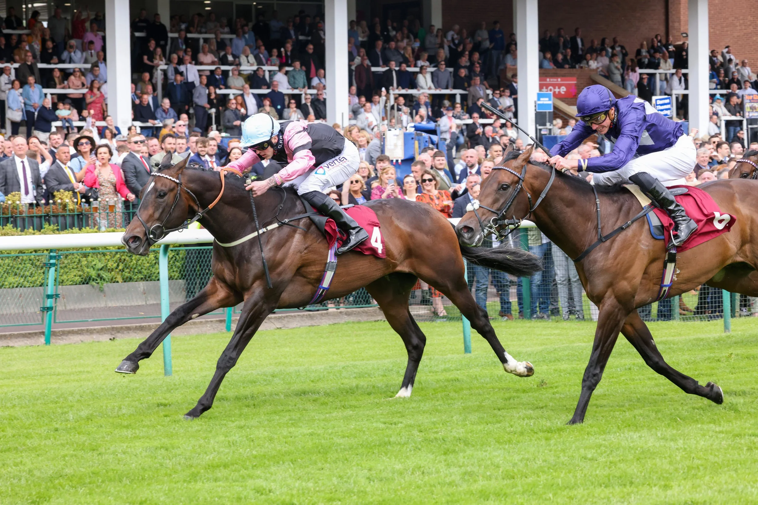 EL CABALLO Haydock win.jpg