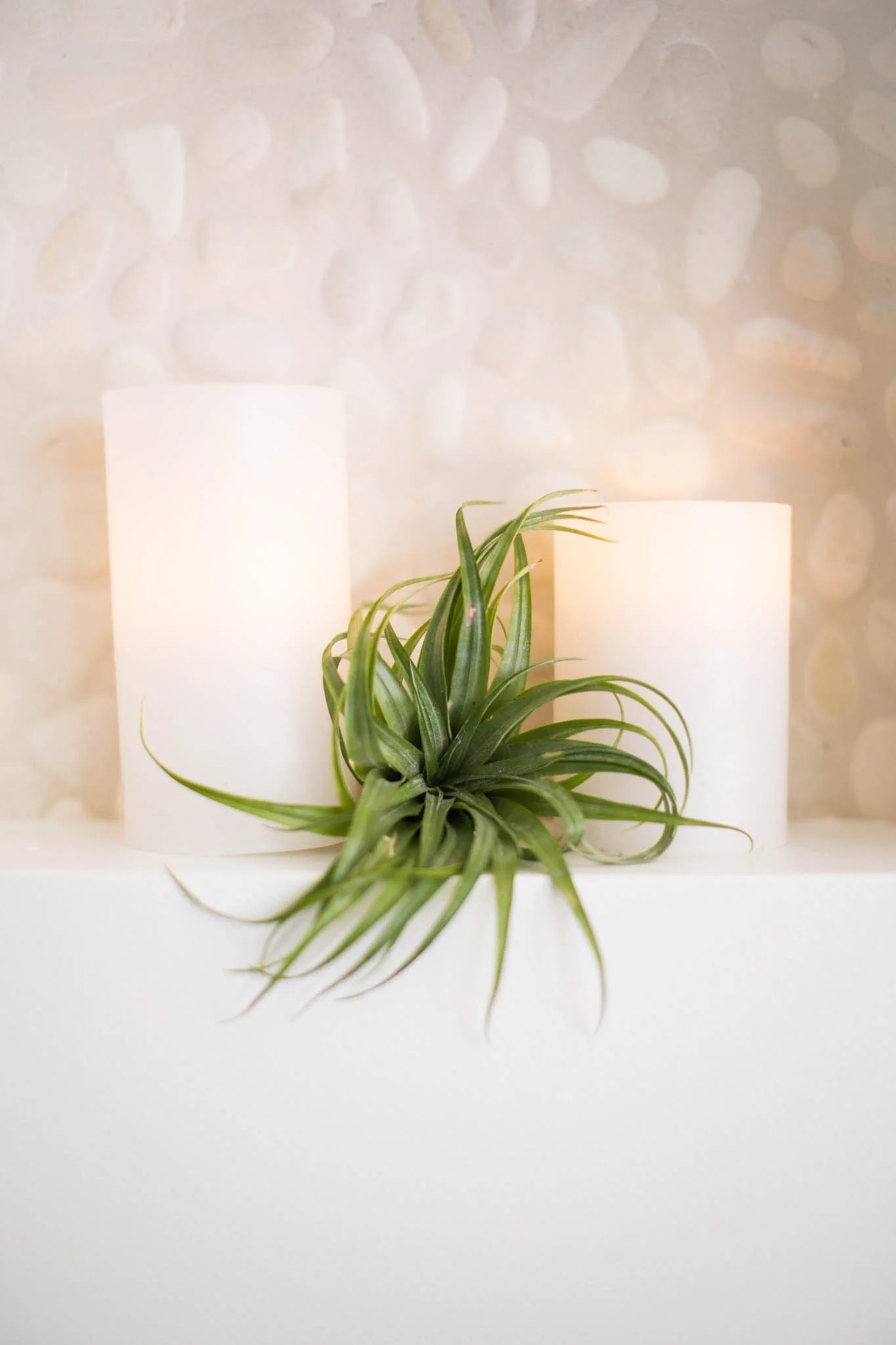 Jodi G Designs Santa Barbra Interior Designer-3317.jpg