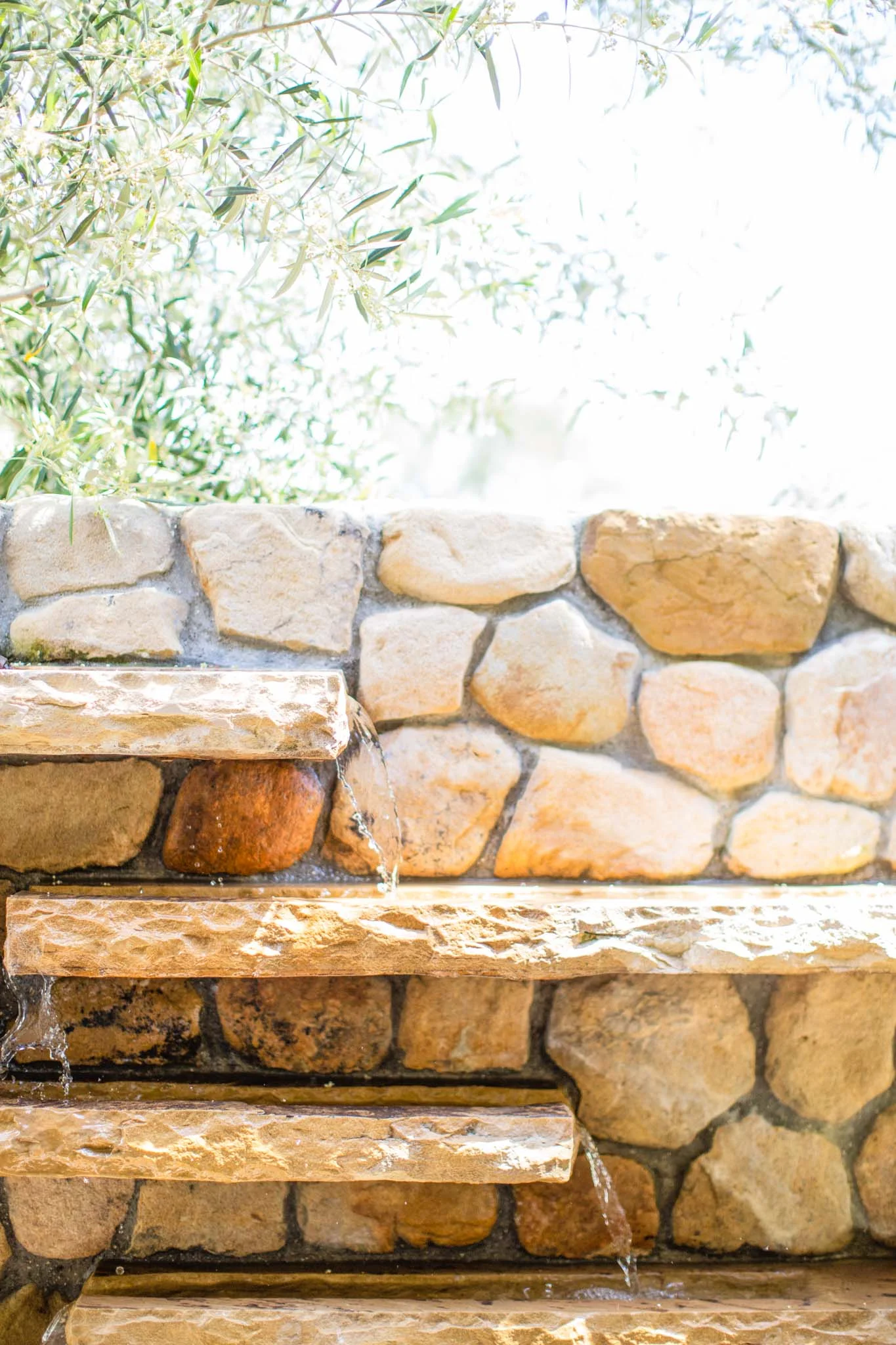Jodi G Designs | Santa Barbara Interior Design Lanscape -46.jpg